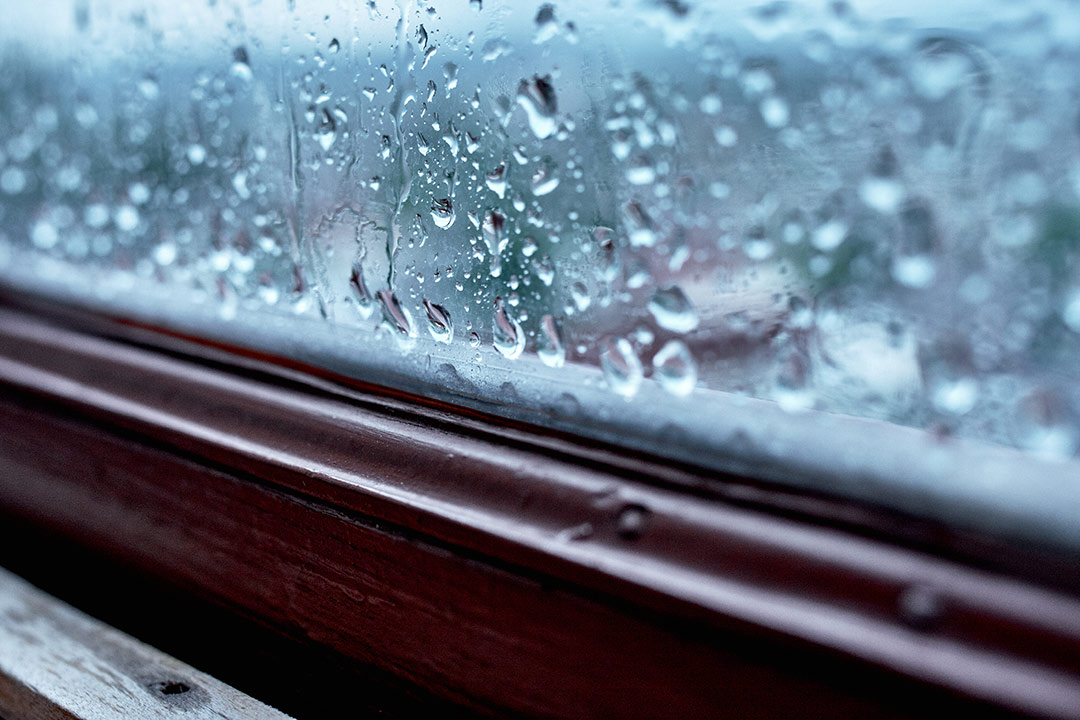 Condensation on a wooden window in the winter time.