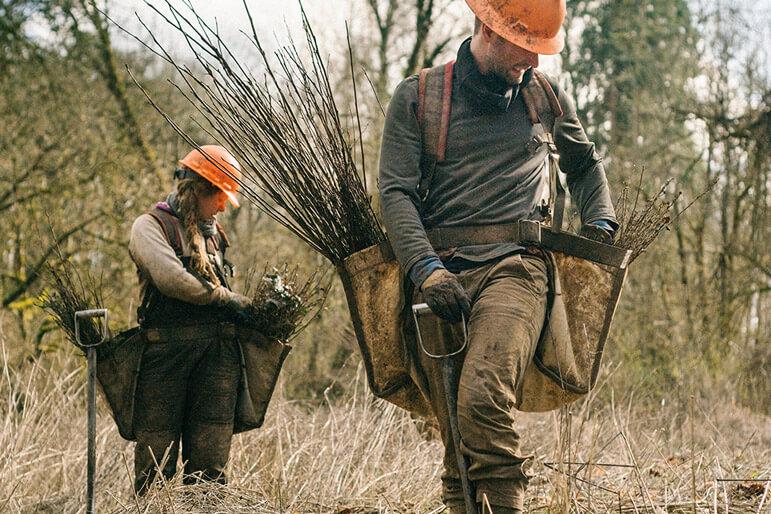 Two tree planters roam a field planting new trees.