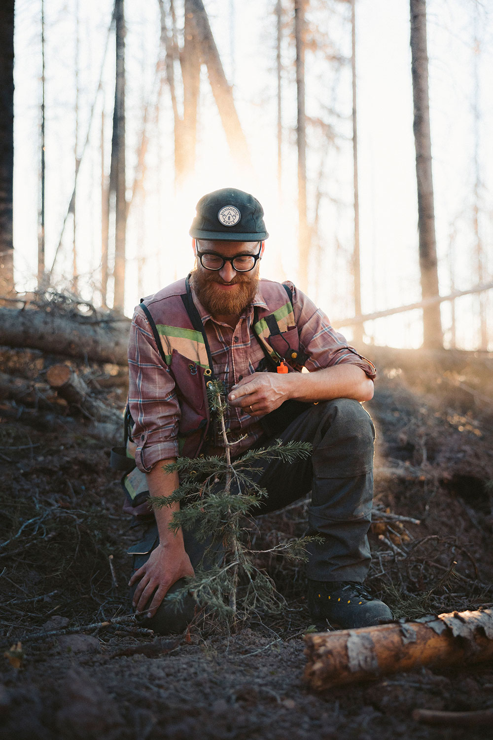 A man looks down at the tree he's planting in a serene forest.