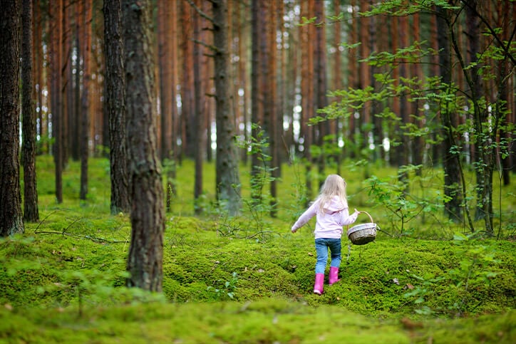 A young girl in pink boots walks through a mossy forest carrying a basket.